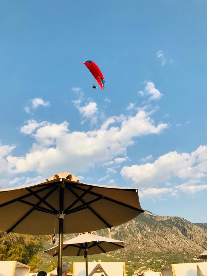 Balsam Suite - 50M To The Beach カラマタ エクステリア 写真